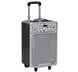Cassa amplificata tipo trolley