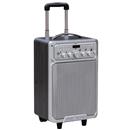 Cassa amplificata tipo trolley